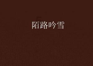 极限摩托大挑战选关版